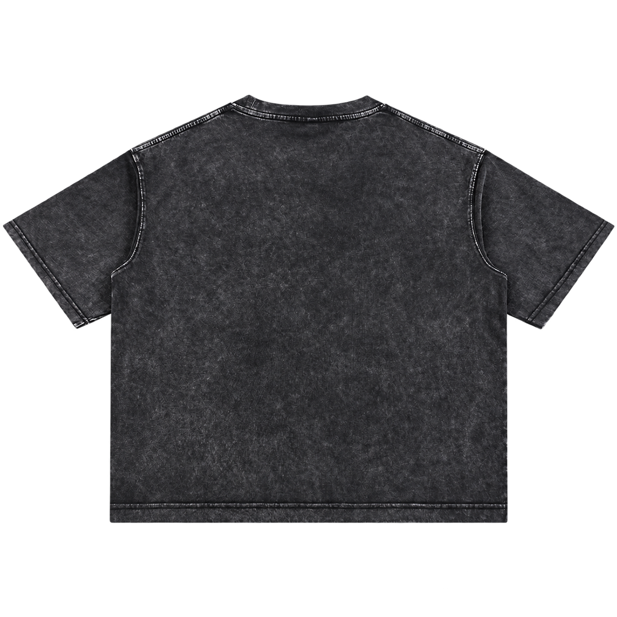 INTAKE Mineral Wash Tee — Turbo Blueprint back transparent background